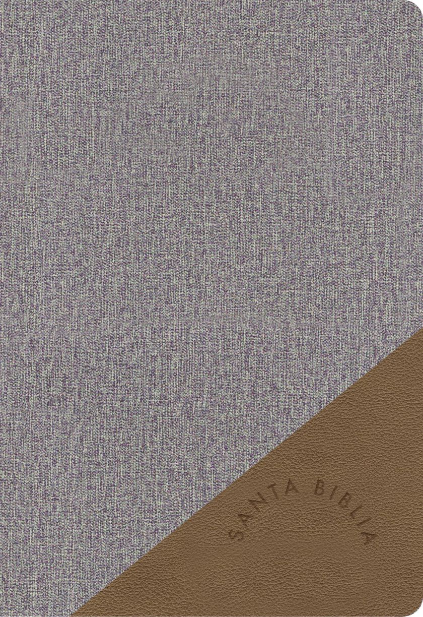 RVR 1960 Biblia Letra Grande Tamaño Manual gris y marrón, símil piel: Santa Biblia
