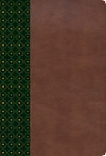 RVR 1960 Biblia de Estudio Scofield, verde oscuro/castaño símil piel