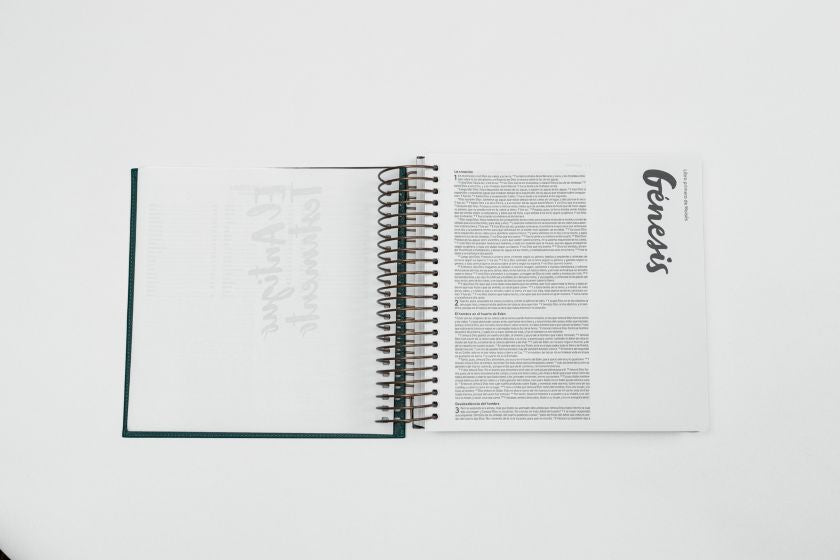 RVR 1960 Biblia para ilustrar, verde símil piel