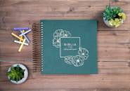 RVR 1960 Biblia para ilustrar, verde símil piel