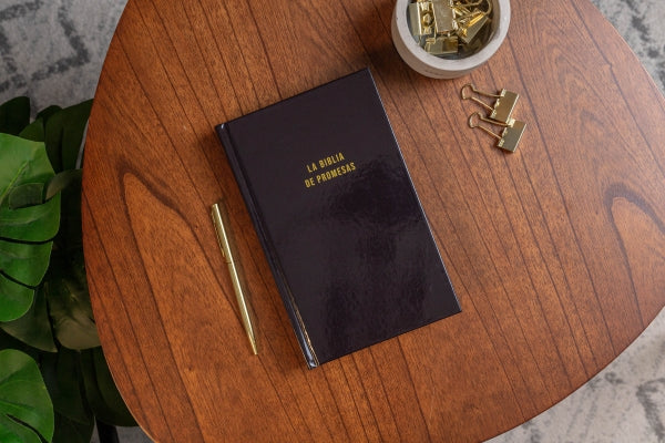 Santa Biblia de Promesas NVI, Tapa dura, Negra