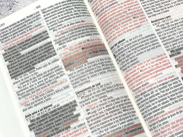 Santa Biblia de Promesas NVI, Tapa dura, Negra