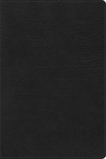 RVR 1960 Biblia de Estudio Arcoiris, negro símil piel