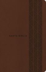 Santa Biblia NTV, Edición ágape