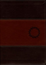 Biblia de estudio del diario vivir NTV, letra grande