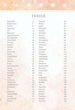 Oraciones y promesas para las niñas